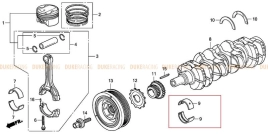 Вкладыш коренной D (зеленый), Honda F20C